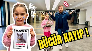 Bücür Saldiriya Uğradi Tüyleri̇ni̇ Kesti̇rdi̇k Bücür Neden Doktorluk Oldu ??