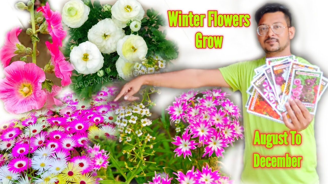 Winter Flowering Plants, Winter Landscaping