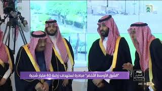 #الشارع_السعودي | للمحافظة على البيئة.. المملكة تزيد الغطاء النباتي بنسبة 40% خلال 4 سنوات