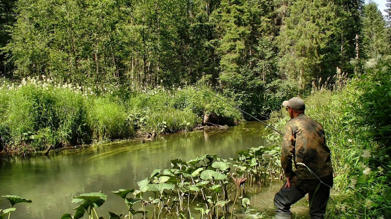 Ловля хариуса на небольшой речке #554