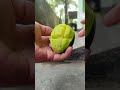 mango eating part 5 challenge accepted 🤤😀