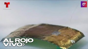 Crean robot cucaracha imposible de aplastar y que rastrea sitios de difícil acceso