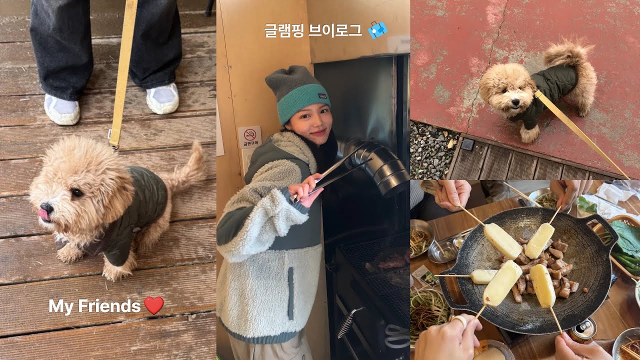 강아지랑 함께 한 글램핑! 넷이서 10인분 먹은 거 안 비밀...🏕️