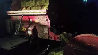 Corn silage 2017