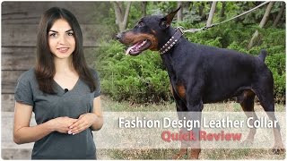 Exclusive Fashion Design Leather Dog Collar - Review