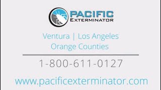 Pacific Exterminator Pest Control