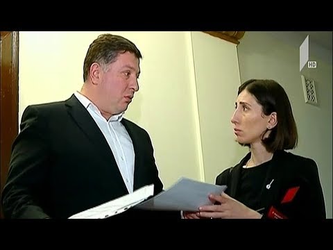 კონსულტაციები პარლამენტში