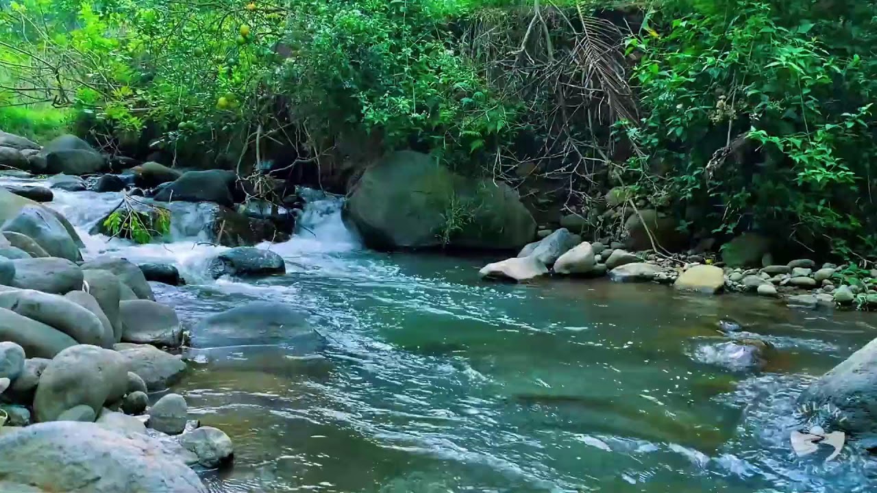 River Sounds for Sleeping. Soothing Forest Stream Ambience for Sleep and Meditation #river 2