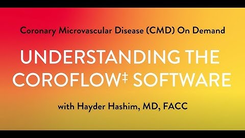 How to Perform Coronary Microvascular Dysfunction (CMD) Testing - Part 6: Understanding the Software