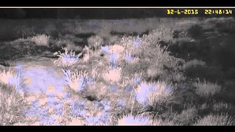 FamilieDasOpstap 2015 06 12 22 46 49