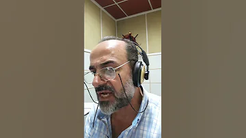 كواليس زاك ستورم 