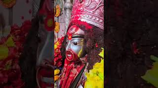 #jai MAA Tara 🙏♥️♥️♥️♥️