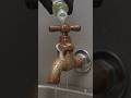 Rusty Tap transformation#shorts #satisfying #asmr #foam #cleaning #restoration #aivideo #viralshorts