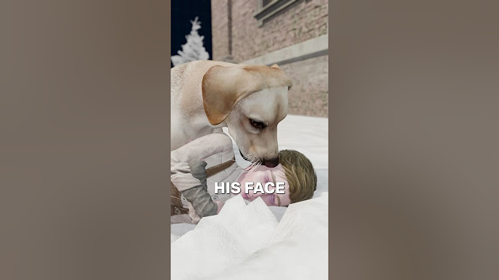 This Dog Saved a Boy in the Snow During War 🐶