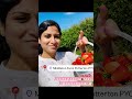 Scotland 🏴 Strawberry farm🍓 #blogger #scotland #blog #europe #scotlandlover #travel