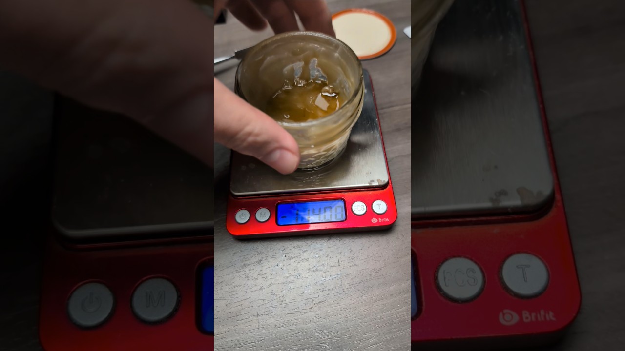 What's the Weight? Single Auto Yield 🌳🍯