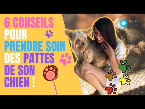 Vidéo: Comment protéger les pattes de votre chiot tout au long de l'année