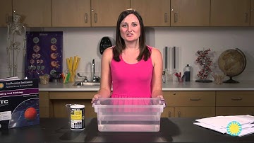 Floating and Sinking– How is Salt Water Different from Fresh Water?