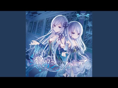 PSA10 氷解した時刻“蒼の薔薇” 「イビルアイ」　サイン chaos Amazon.co.jp: Chaos TCG カオス tcg IS 開花した才能 篠ノ之箒