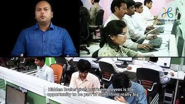 Hidden Brains - Employee Film