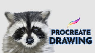 Drawing a Realistic Raccoon in Procreate