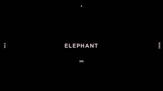 Miniatura del video "Milk & Bone - Elephant (Official Audio)"