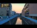 Tokyo Suburban Summer Evening Walk Through Nostalgic Old Streets | Tokyo, Japan 4K HDR