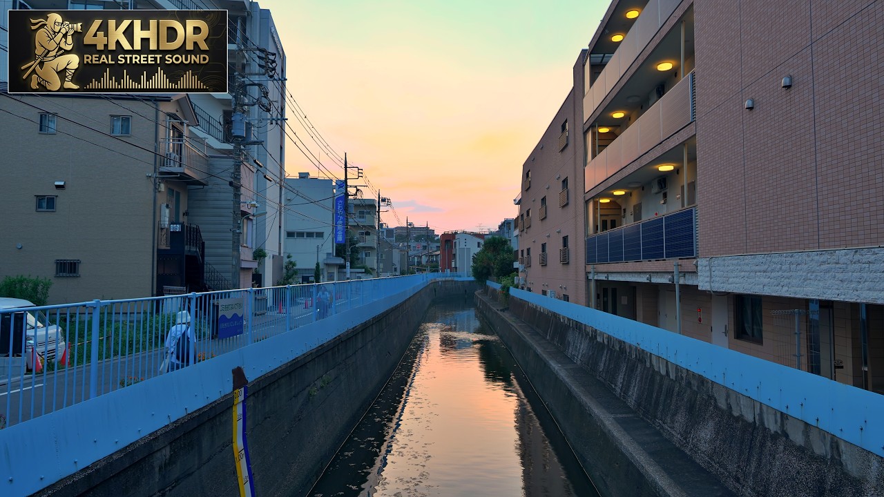 Tokyo Suburban Summer Evening Walk Through Nostalgic Old Streets | Tokyo, Japan 4K HDR