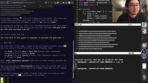 Advent of Code 2020: Day 24 (Lobby Layout)