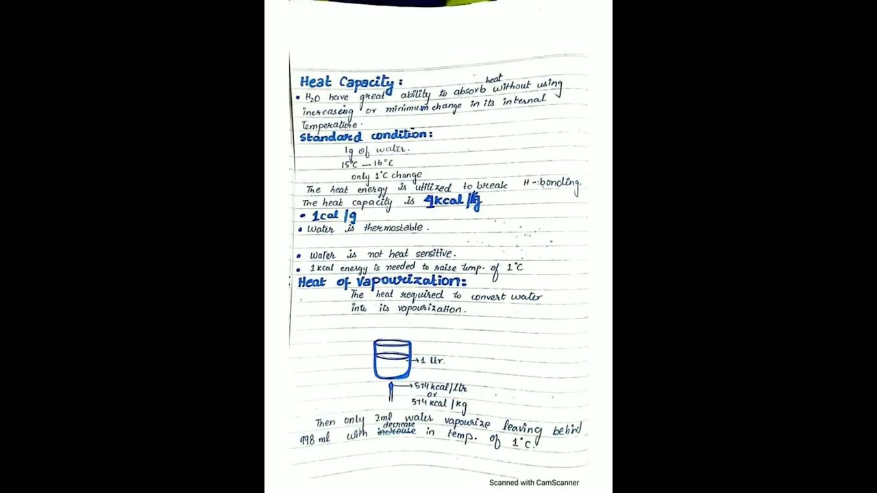 Molecular biology notes 