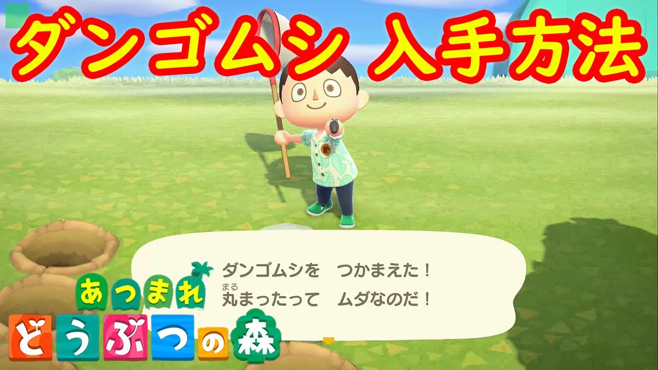 ダンゴムシ 入手方法 攻略 あつまれ どうぶつの森 あつ森 Youtube