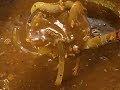 【カレー】作り方★★お節も良いけどやっぱり食べたくなる!こんなのでいいんだよ!ほんと中毒性あり!