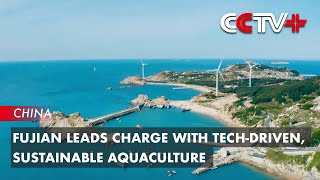Fujian Leads Charge with Tech-driven, Sustainable Aquaculture