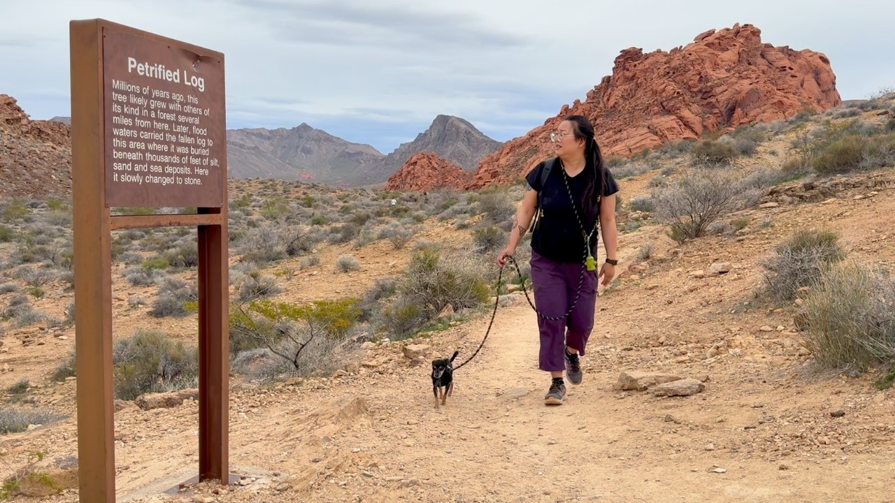 Только я, моя собака и пустыня | Одиночное путешествие в Долину Огня