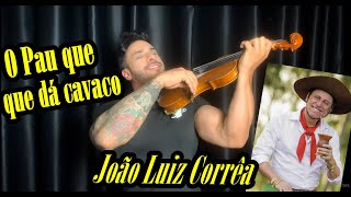 O Pau Que Dá Cavaco - João Luiz Corrêa & Grupo Campeirismo ( Violino Cover)