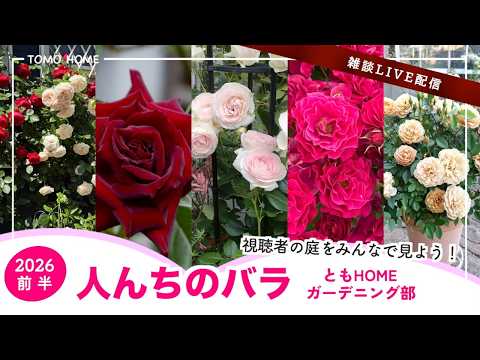 6/26 21時〜】ともHOME バラ部 人んちの庭を見てアレコレ言おう【前半
