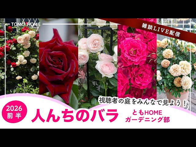 6/26 21時〜】ともHOME バラ部 人んちの庭を見てアレコレ言おう【前半