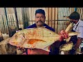 KASIMEDU SPEED SELVAM TREVALLY 🤯😱🤯BIG SIZE FISH CUTTING🔪 VIDEO FISHERMEN ENTERTAINMENT VIDEO 