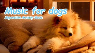 Music to calm a barking dog, Healing Music, Separation Anxiety Music