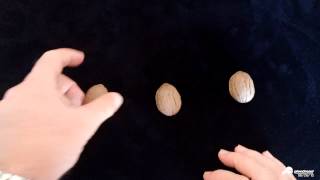 The Infamous Three Shell (Gambling) Game. Shot with Pivotheads from the Operator's POV