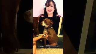 Dogesh Bhai Bohut Hi Bahadur Hai 😂🐶 #funnydogs #dogeshbhai #viralshorts #animalcomedy #desifunny