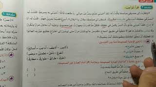 حل كتاب الأضواء لغة عربية ٢٠٢٤ ما السر؟ من صفحة ٤٣ إلى ٤٦