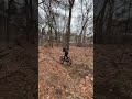 Mtb