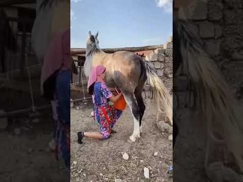 Horse Sperm Horse Milk Hours Milk #Horse Sperm Milk #Carry #Carryminati #Roastingking