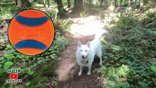 Chuckit Ultra Ball - Is this the BEST Dog Toy? Honest Reviews