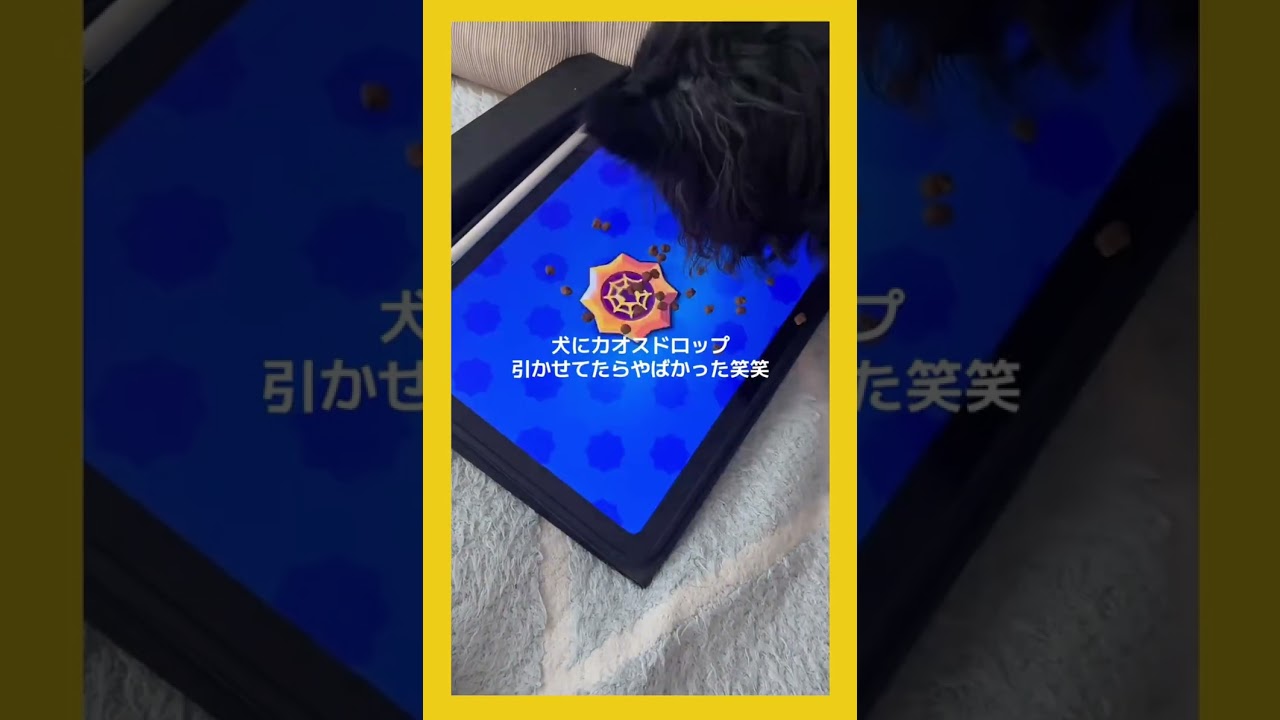 犬おるやつやってみ笑 #shorts