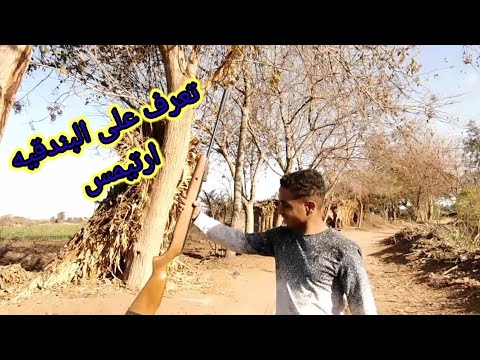 البندقيه ارتيمس مبدعه من على مسافات