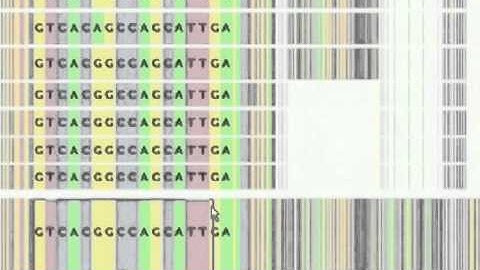 SequenceJuxtaposer: Fluid Navigation For Large-Scale Sequence Comparison In Context