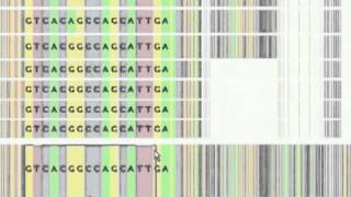 Famous SequenceJuxtaposer: Fluid Navigation For Large-Scale Sequence Comparison In Context Wealth