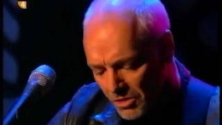 Peter Frampton &quot;Hour of Need&quot; (&quot;NOW&quot; Album.)